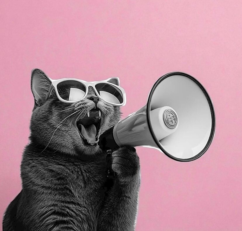 Content Marketing